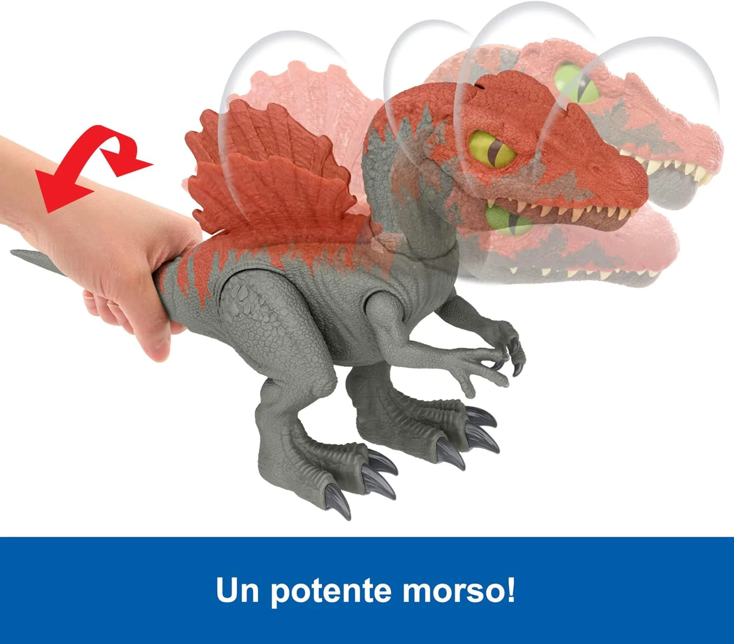 Immagine prodotto 4