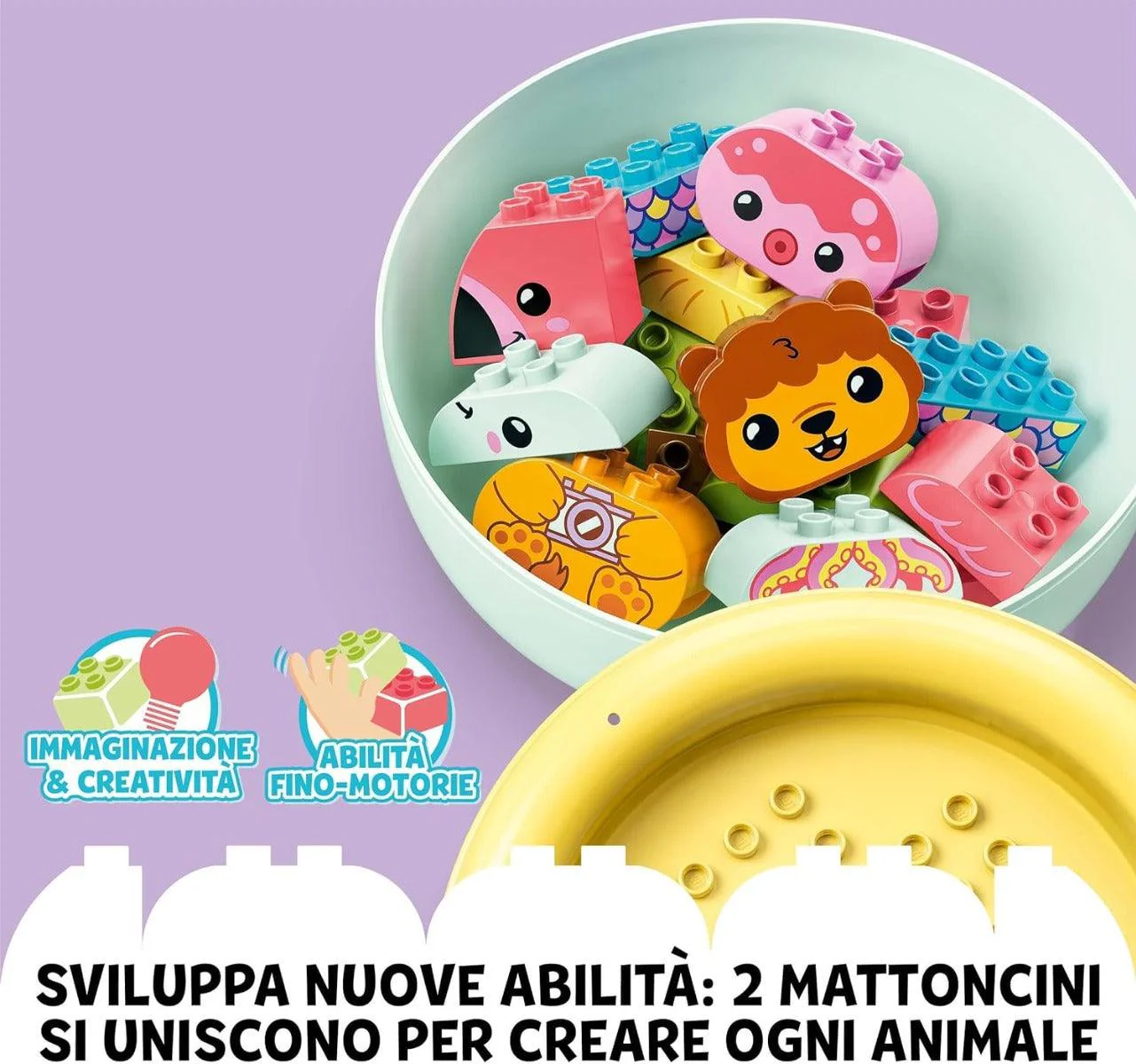 Immagine prodotto 5
