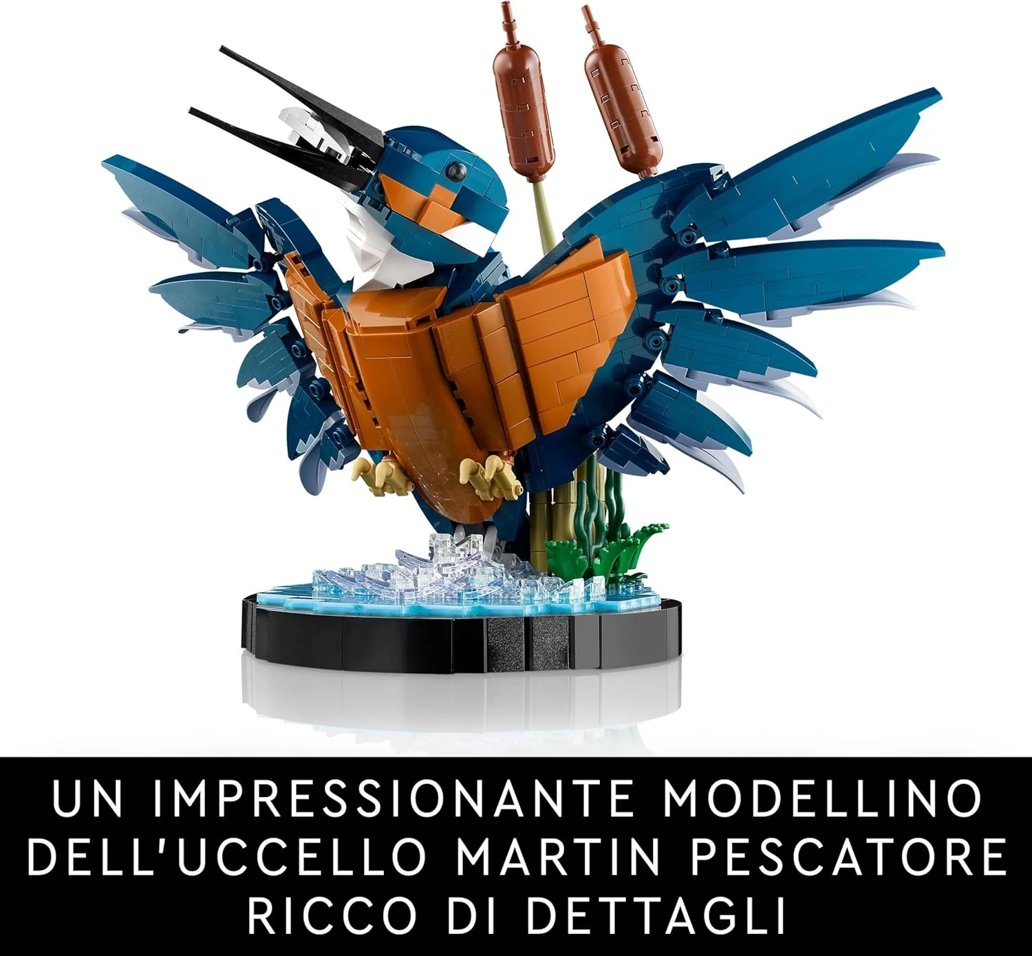 Immagine prodotto 2