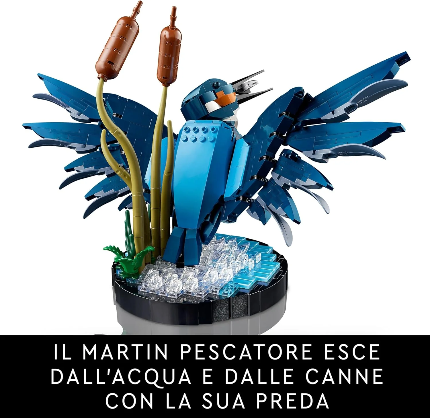 Immagine prodotto 3
